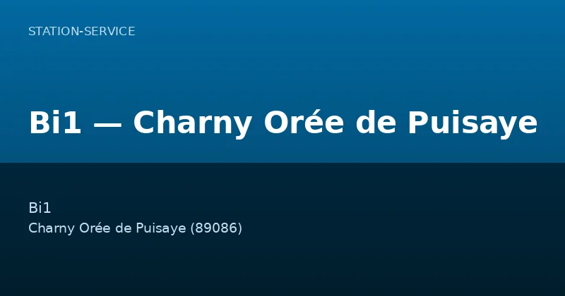 Bi1 — Charny Orée de Puisaye