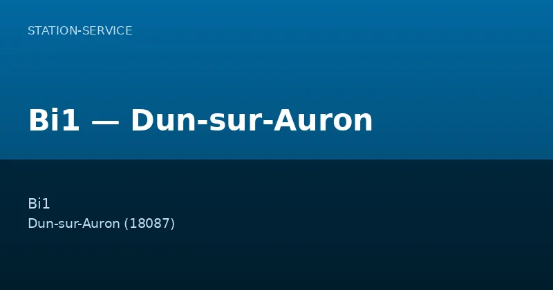 Bi1 — Dun-sur-Auron