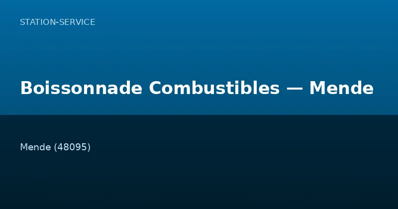 Boissonnade Combustibles — Mende