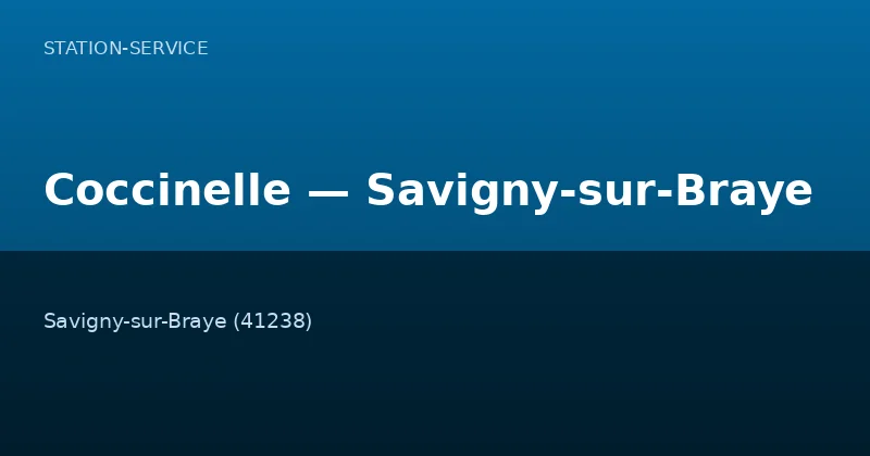 Coccinelle — Savigny-sur-Braye