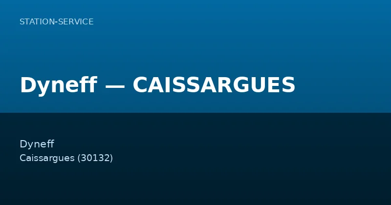 Dyneff — CAISSARGUES