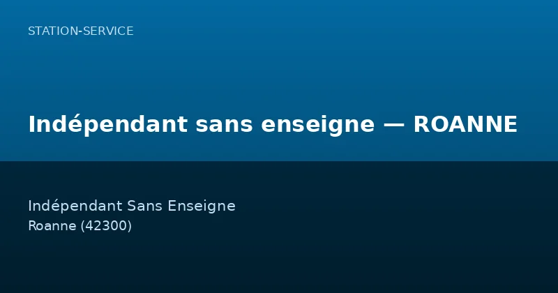 Indépendant sans enseigne — ROANNE