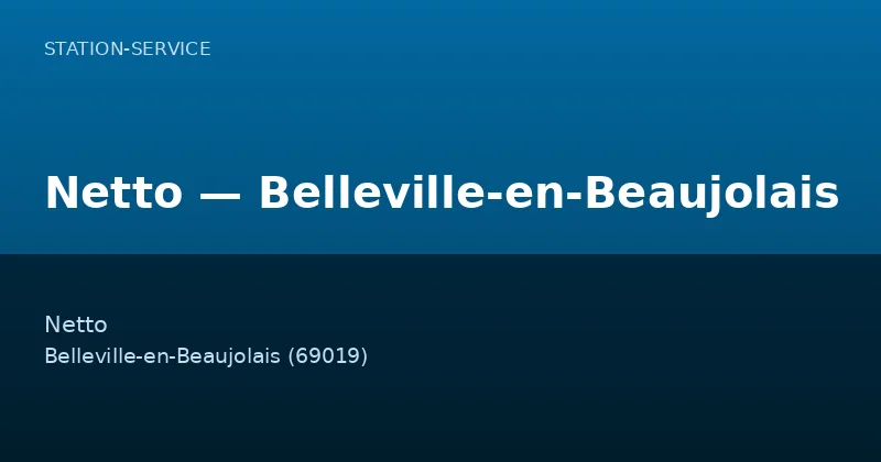 Netto — Belleville-en-Beaujolais