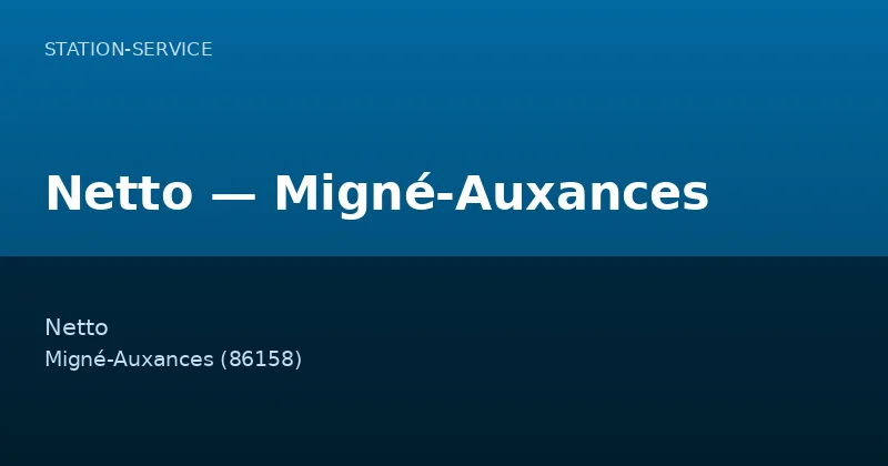 Netto — Migné-Auxances