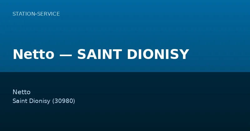 Netto — SAINT DIONISY