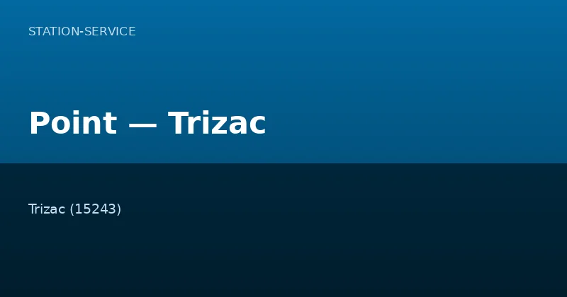 Point — Trizac