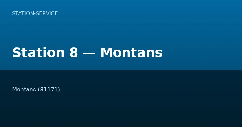 Station 8 — Montans