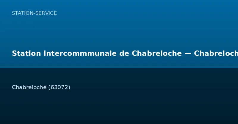 Station Intercommmunale de Chabreloche — Chabreloche