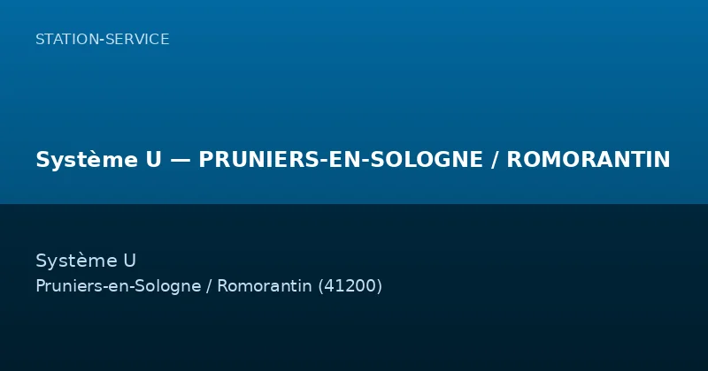 Système U — PRUNIERS-EN-SOLOGNE / ROMORANTIN